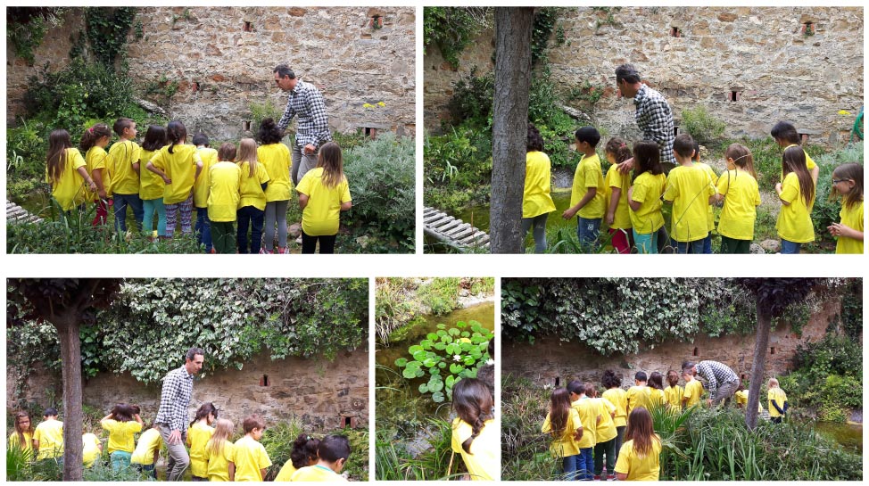 Il Laghetto del Centro di Entomologia - Piombino (LI)